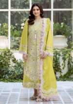 Bin Ilyas 3pcs lawn Article - Image 2