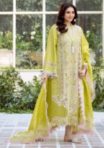 Bin Ilyas 3pcs lawn Article