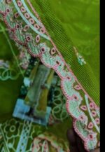 Bin Ilyas 3pcs lawn Article - Image 6