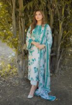 Aneela's 3pcs Lawn Article