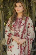 Aneela's 3Pcs New Lawn Article