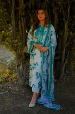 Aneela's 3pcs Lawn Article - Image 2