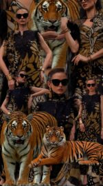 Maria B 3Pcs Article