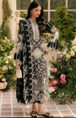 Bin Ilyas 3Pcs Lawn Article