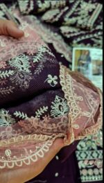 Aneela's New Lawn Article - Image 5