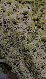 Bin Saeed 3pcs Lawn Article - Image 2