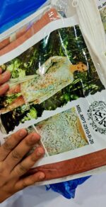 Maria B 3pcs Article - Image 3