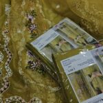 Aneela's 3pcs Lawn Article